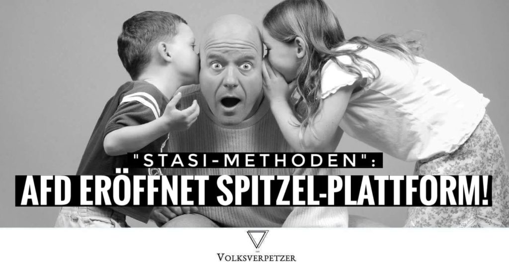 stasi afd
