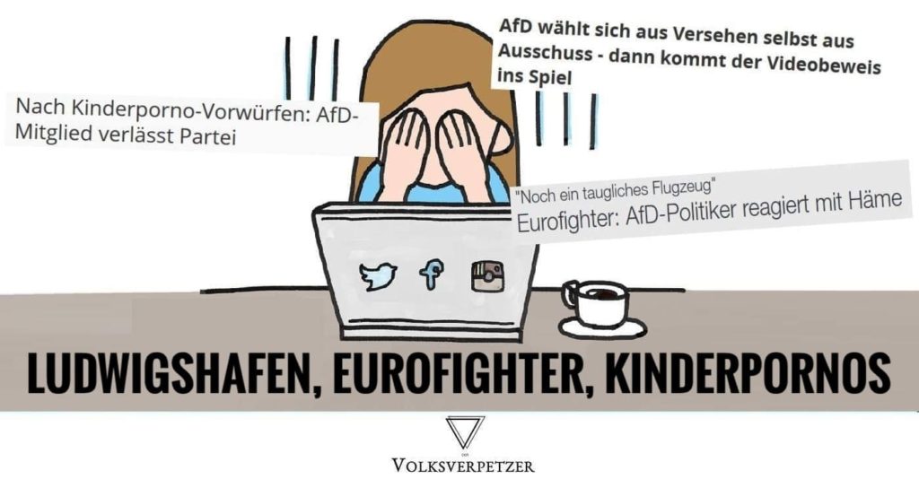 afd drei meldungen