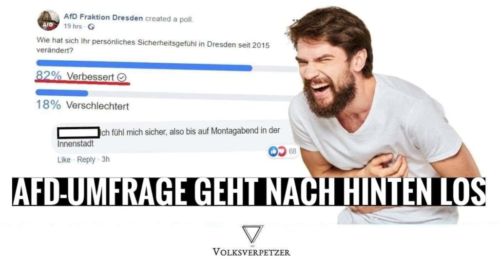 sicher afd umfrage