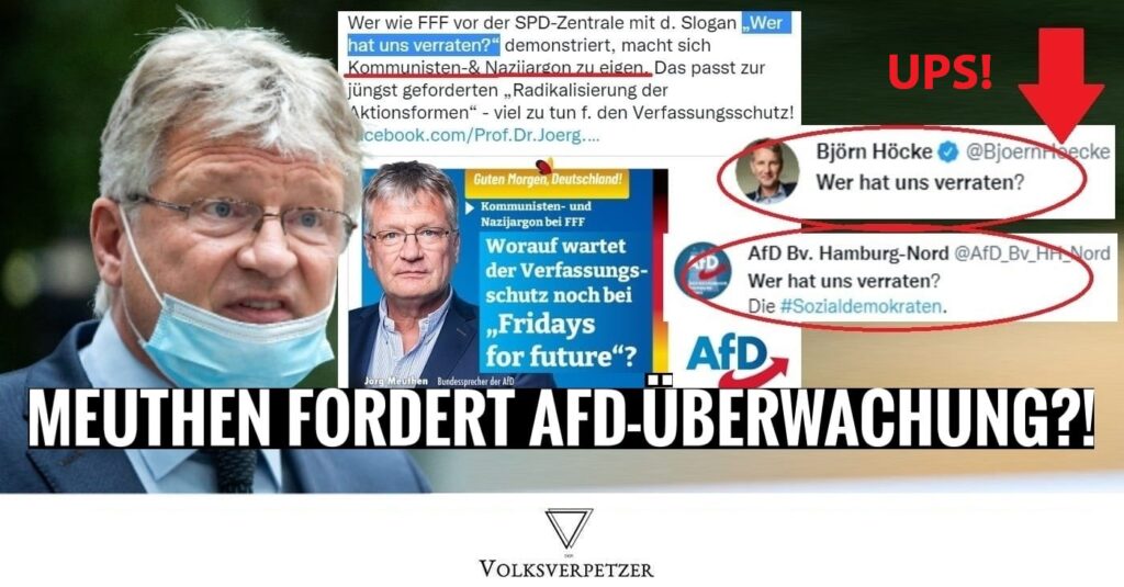 meuthen eigentor