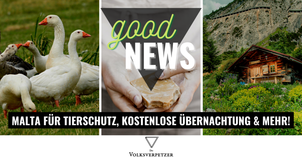 Artikelbild "Good News". Zu sehen sind in drei Kacheln: Gänse, Seife, und eine Berghütte.