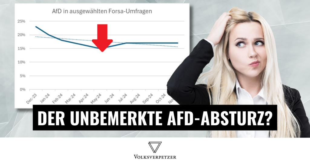 Umfragen Absturz afd 2