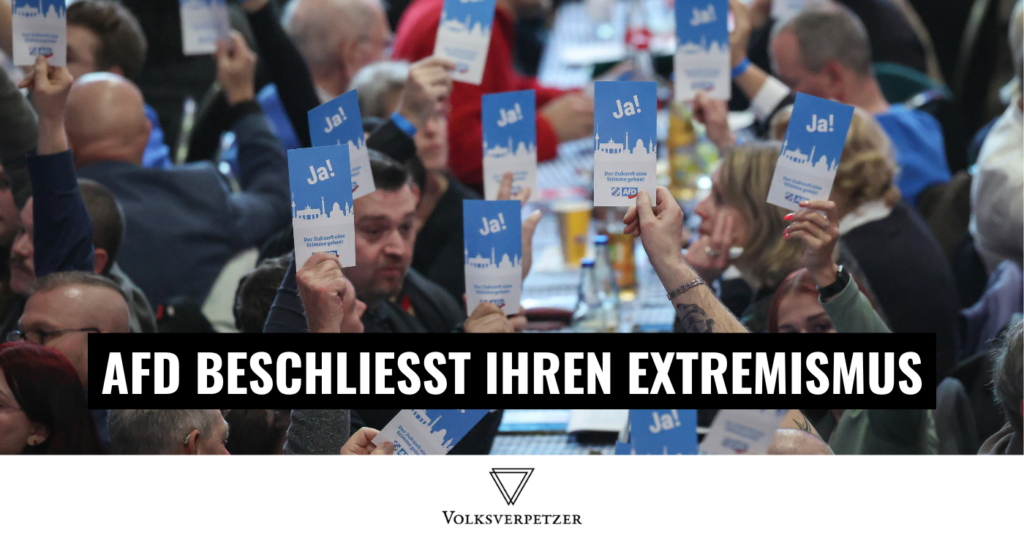 verfassungsfeindlichkeit afd