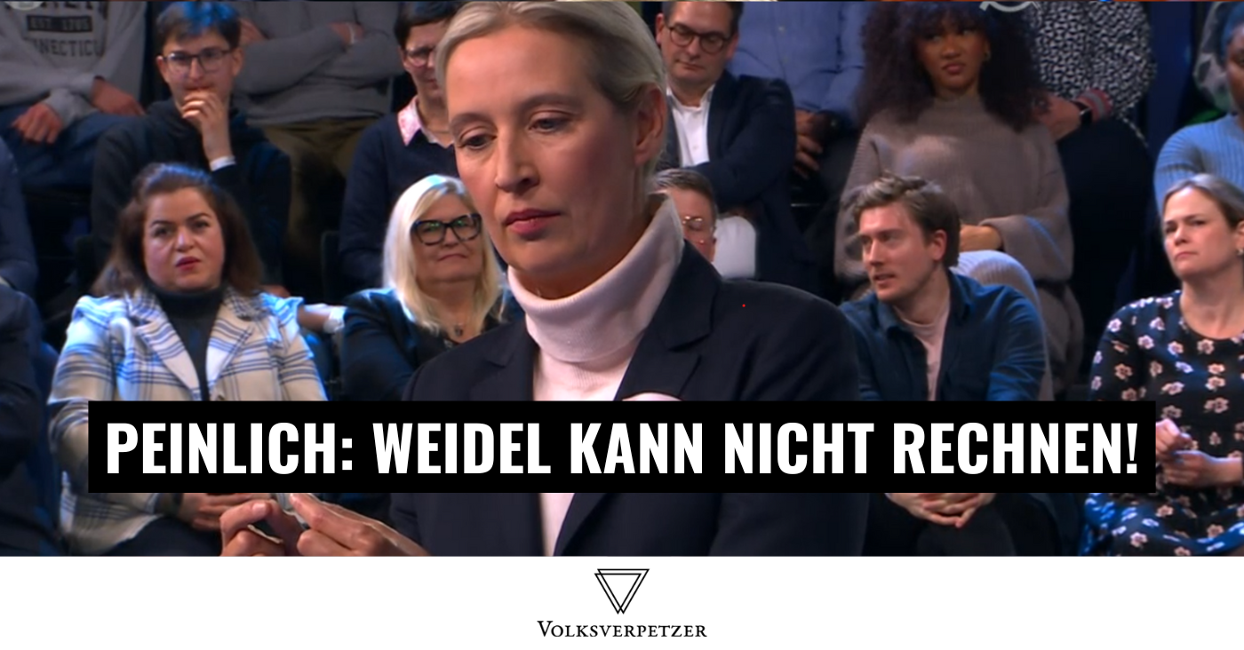 Rechenfehler zu Windkraft: Weidel im ZDF ausgelacht